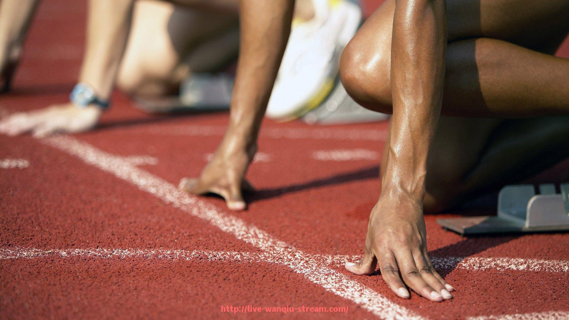 玩球直播-法甲马赛球迷热情指数：马赛球迷热情度分析与球迷文化探索