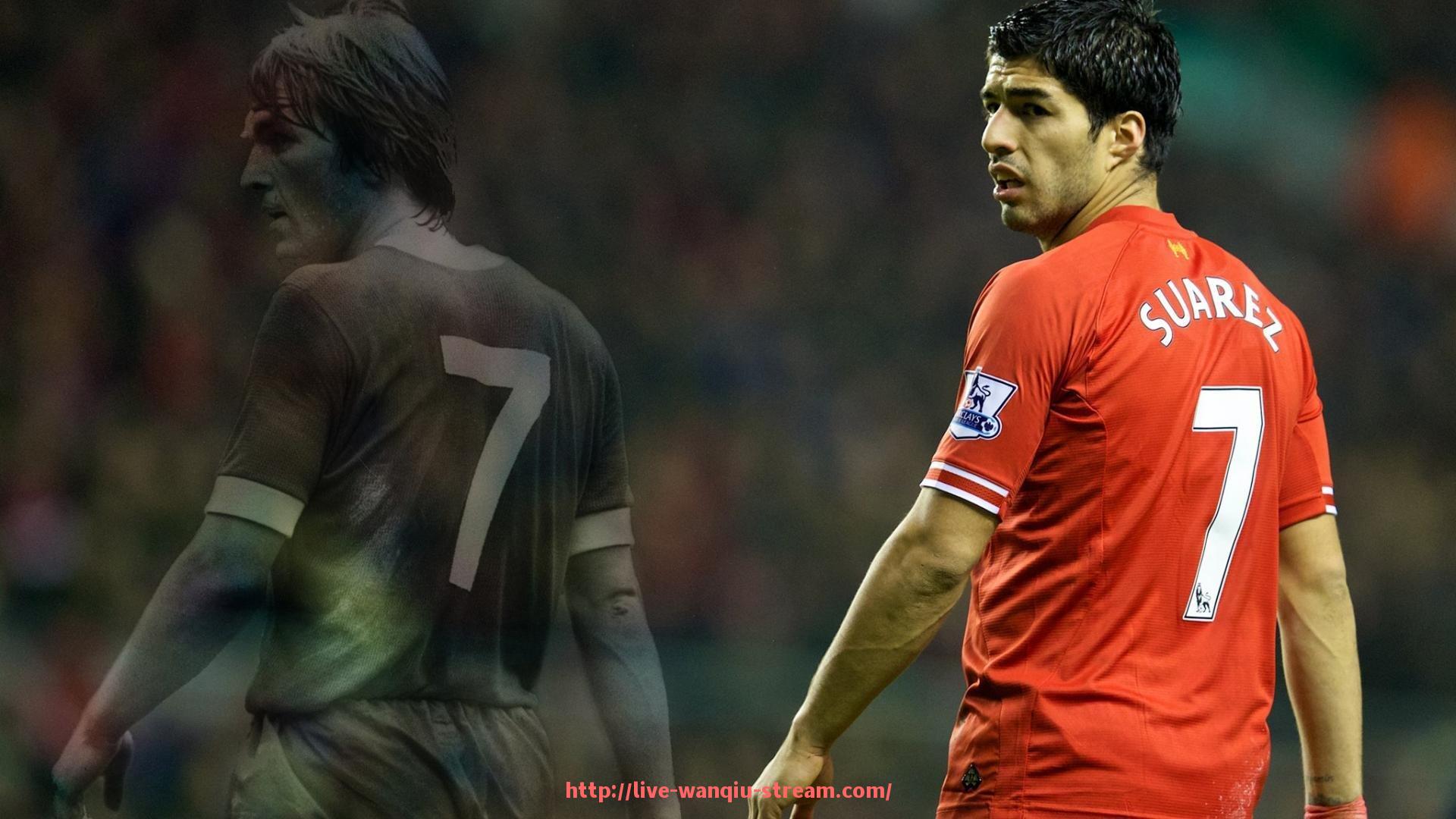 玩球直播-法甲外援数据趋势报告及未来市场表现变化的预测分析